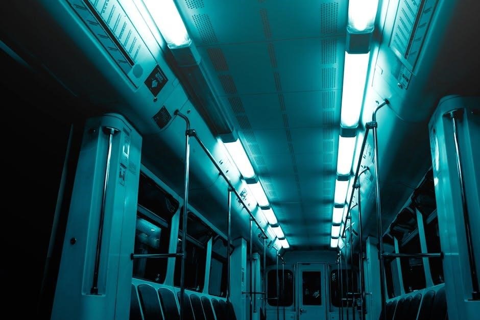 in a station of the metro poem pdf